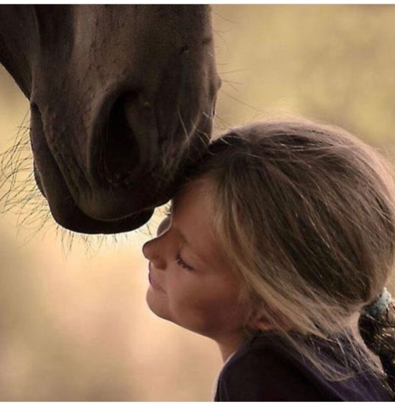 „10.000 Menschen schafften es nicht, das eine Million Dollar teure Wildpferd zu reiten … Doch ein 7-jähriges Mädchen aus ärmlichen Verhältnissen trat auf es zu, flüsterte ihm nur ein einziges Wort zu – und wenige Minuten später enthüllte sie ein Geheimnis, das den Besitzer der Ranch zu Fall brachte.“