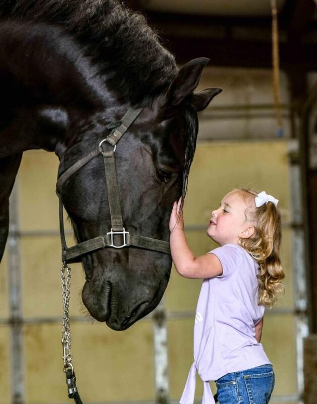 „10.000 Menschen schafften es nicht, das eine Million Dollar teure Wildpferd zu reiten … Doch ein 7-jähriges Mädchen aus ärmlichen Verhältnissen trat auf es zu, flüsterte ihm nur ein einziges Wort zu – und wenige Minuten später enthüllte sie ein Geheimnis, das den Besitzer der Ranch zu Fall brachte.“
